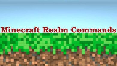 Minecraft-Realm-Commands
